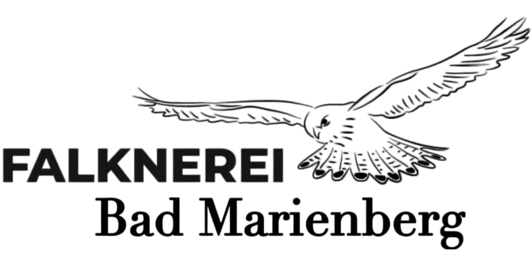 Falknerei Bad Marienberg